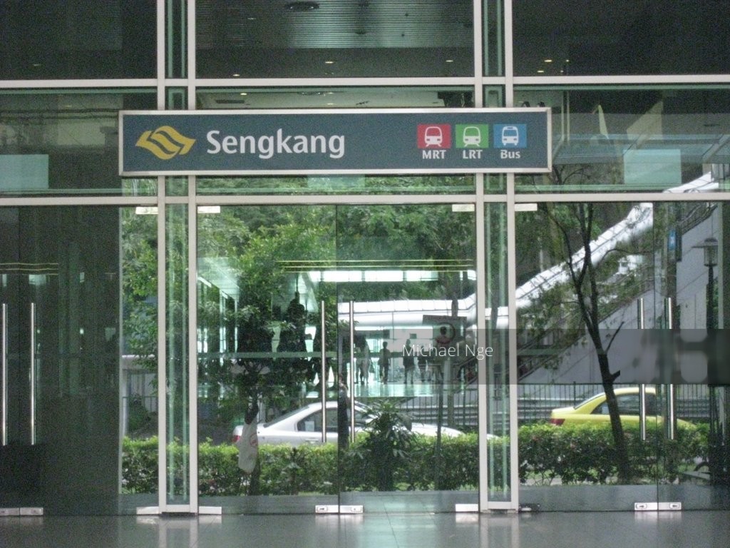 Blk 315A Anchorvale Road (Sengkang), HDB Executive #123066642